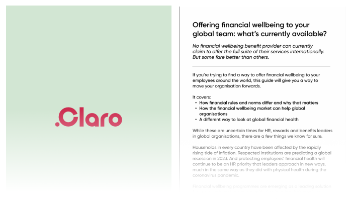 Thumbnail for offering financial wellbeing to your global team guide-1
